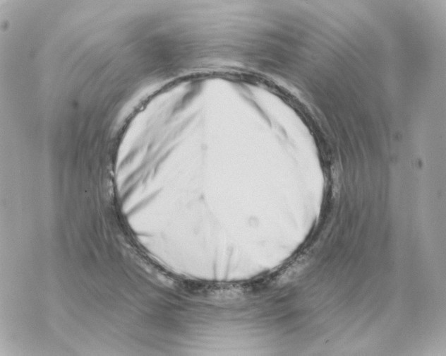 X0000069831363200606161930