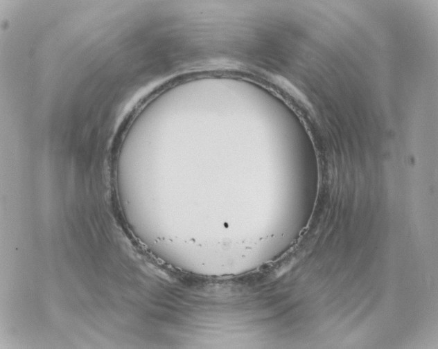 X0000069831364200606161930