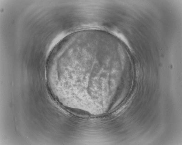 X0000069831365200606161930