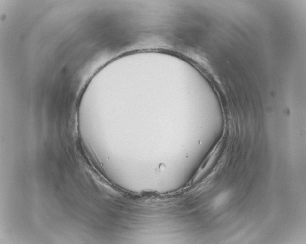 X0000069831366200606161930