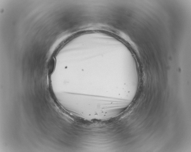 X0000069831368200606161929