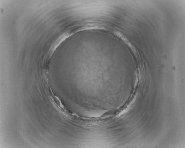 X0000069831369200606161929