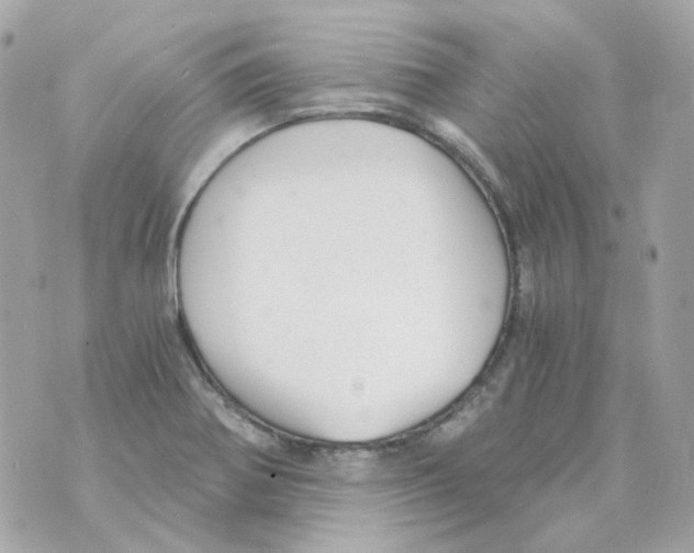 X0000069831370200606161929