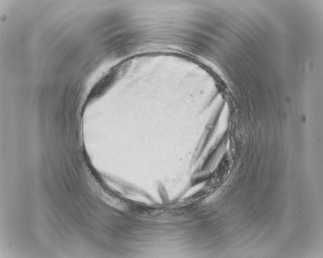 X0000069831371200606161929