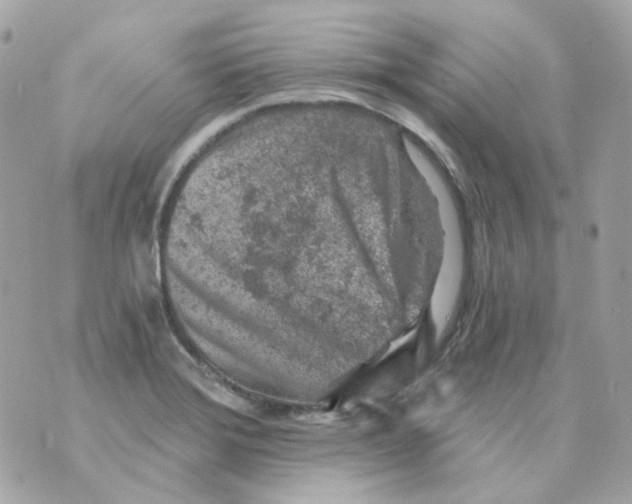 X0000069831372200606161929