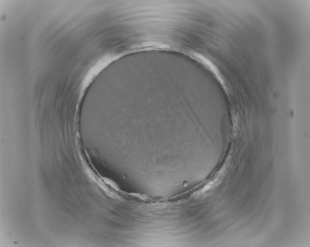 X0000069831373200606161929