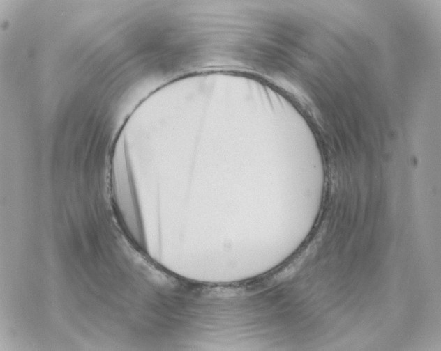 X0000069831374200606161929