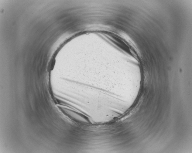 X0000069831376200606161929