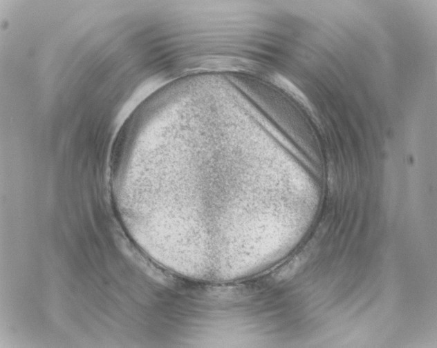 X0000069831378200606161929