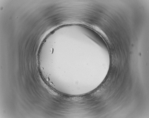 X0000069831380200606161929