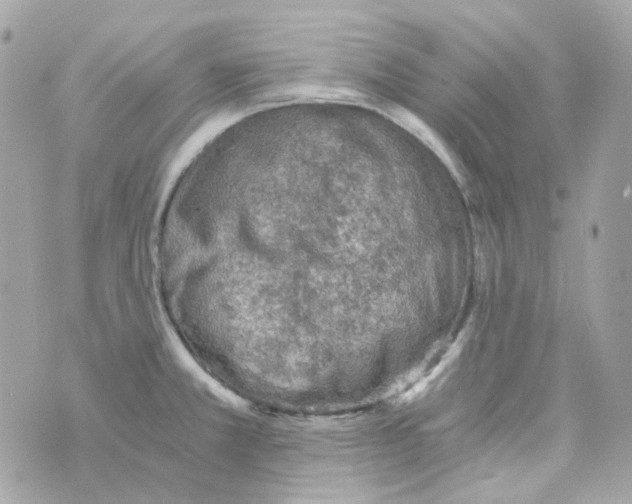 X0000069831381200606161929