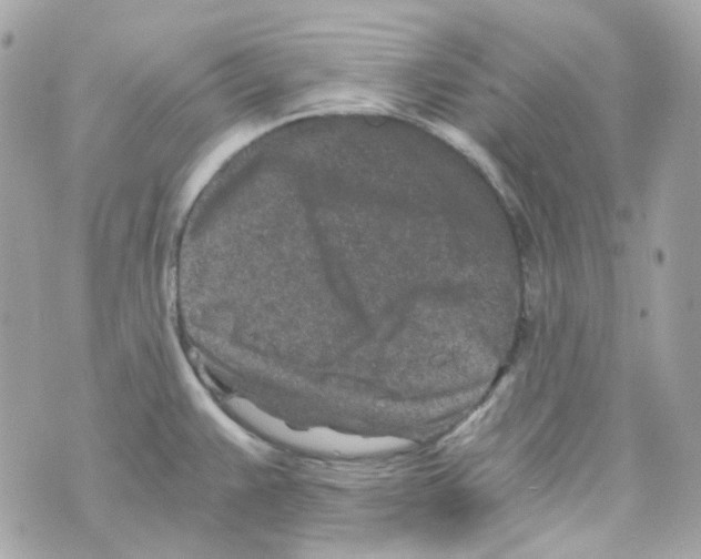 X0000069831383200606161929