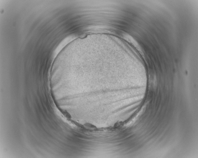 X0000069831386200606161929