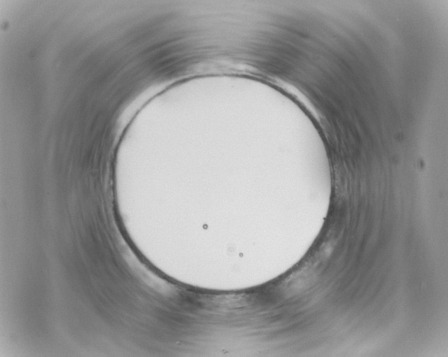 X0000069831387200606161929