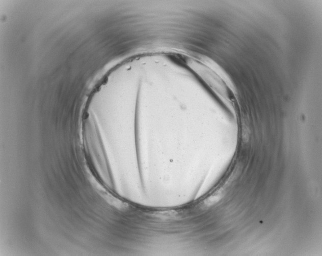 X0000069831388200606161929