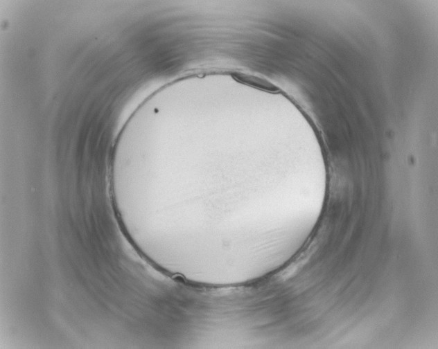 X0000069831390200606161929