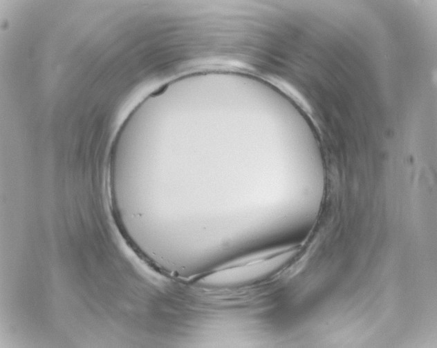 X0000069831391200606161929