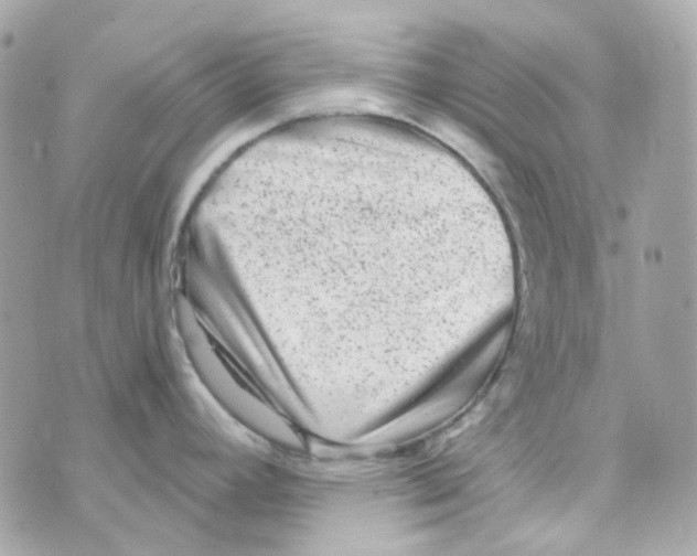 X0000069831392200606161929