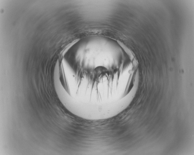 X0000069831394200606161928