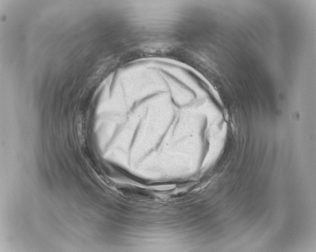 X0000069831396200606161928