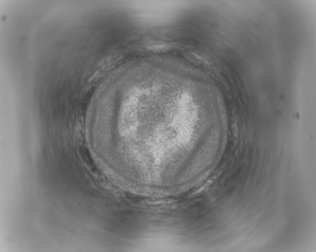 X0000069831397200606161928