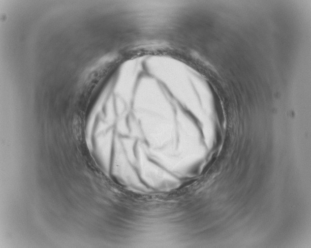 X0000069831398200606161928