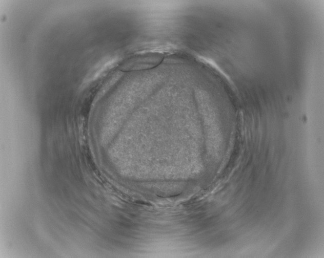 X0000069831399200606161928