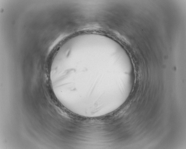 X0000069831400200606161928