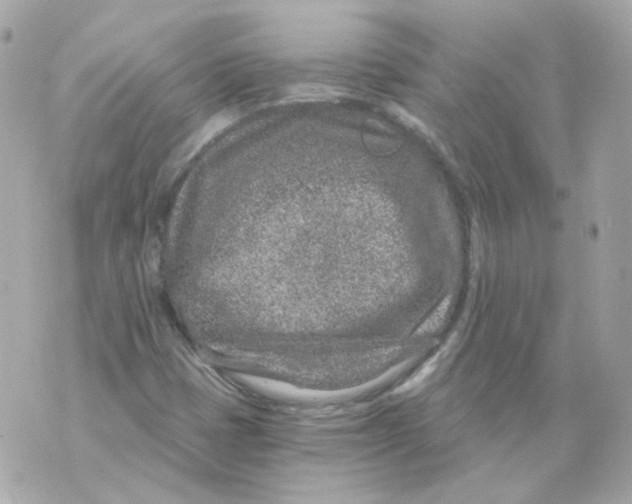 X0000069831401200606161928