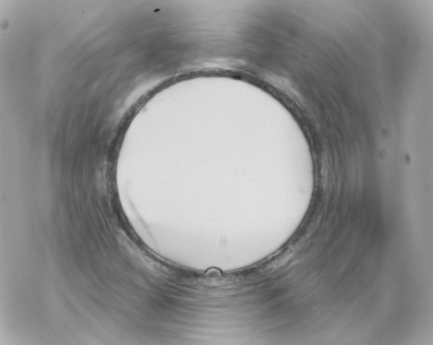 X0000069831404200606161928