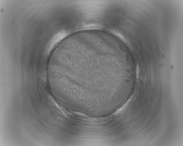 X0000069831405200606161928