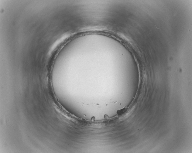 X0000069831406200606161928