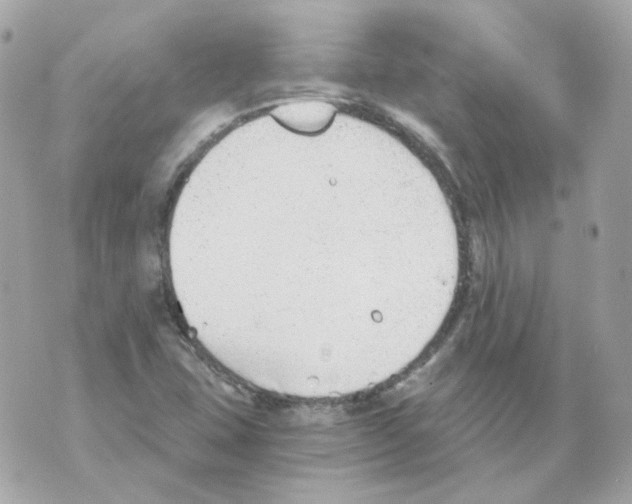 X0000069831407200606161928