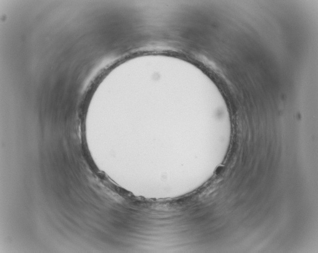 X0000069831408200606161929