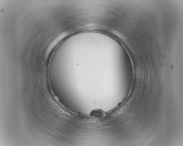 X0000069831410200606161929