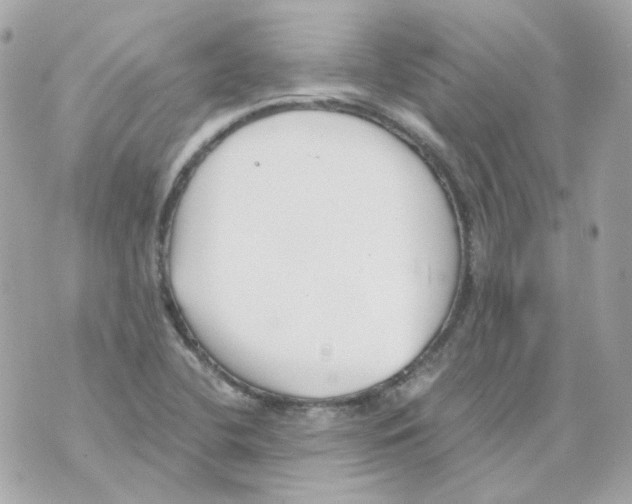 X0000069831412200606161929