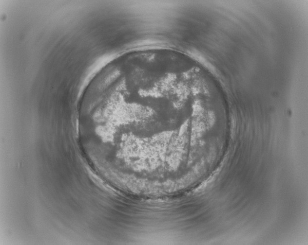 X0000069831413200606161929