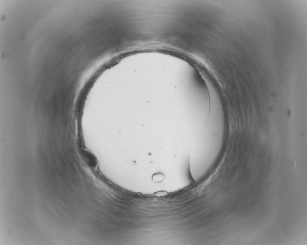 X0000069831414200606161929