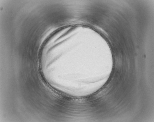 X0000069831415200606161929