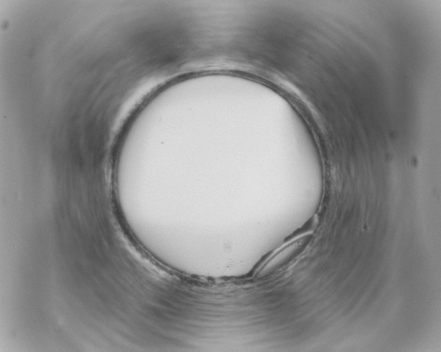 X0000069831416200606161929