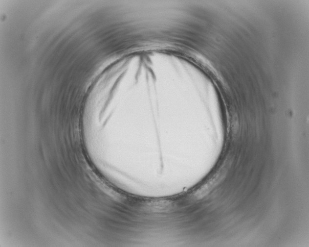 X0000069831417200606161929