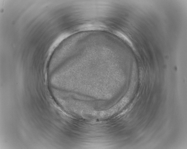 X0000069831419200606161929