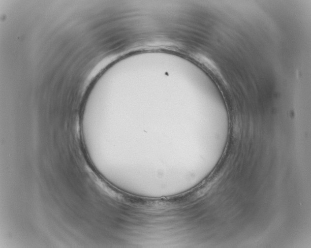 X0000069831420200606161929