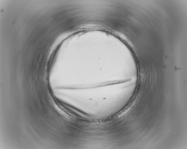 X0000069831421200606161929