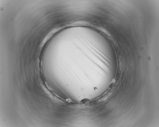 X0000069831422200606161929