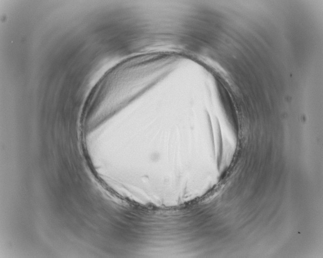 X0000069831423200606161929