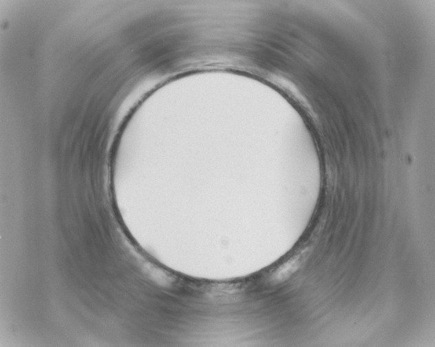 X0000069831424200606161929