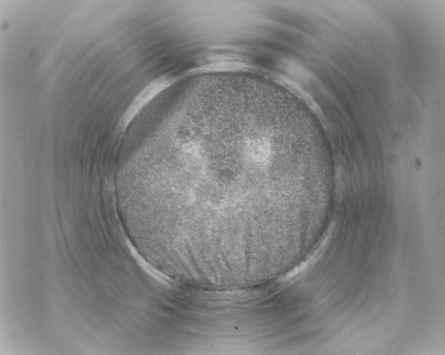 X0000069831425200606161929