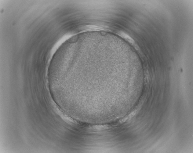 X0000069831427200606161929