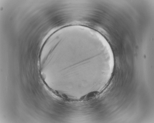 X0000069831428200606161929